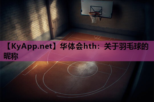 华体会hth：关于羽毛球的昵称